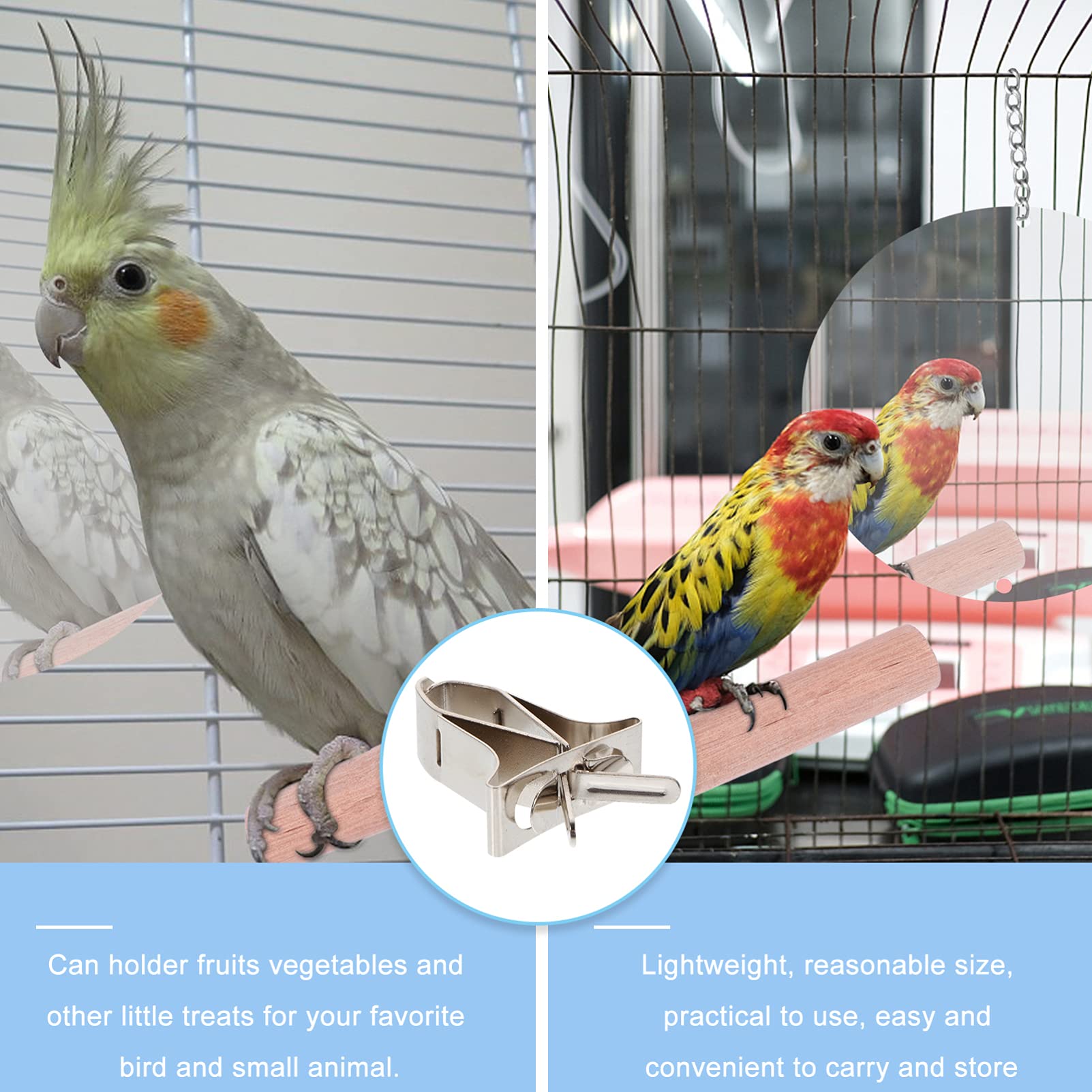 5pcs Bird Food Clips - Stainless Steel Parrot Vegetable Clips, Bird Cage Food Feeding Clips for Parakeets, Cockatiels, Lovebirds - Perfect for Securing Fresh Fruits, Veggies in Bird Cages - Durable Pet Bird Supplies for Daily Feeding