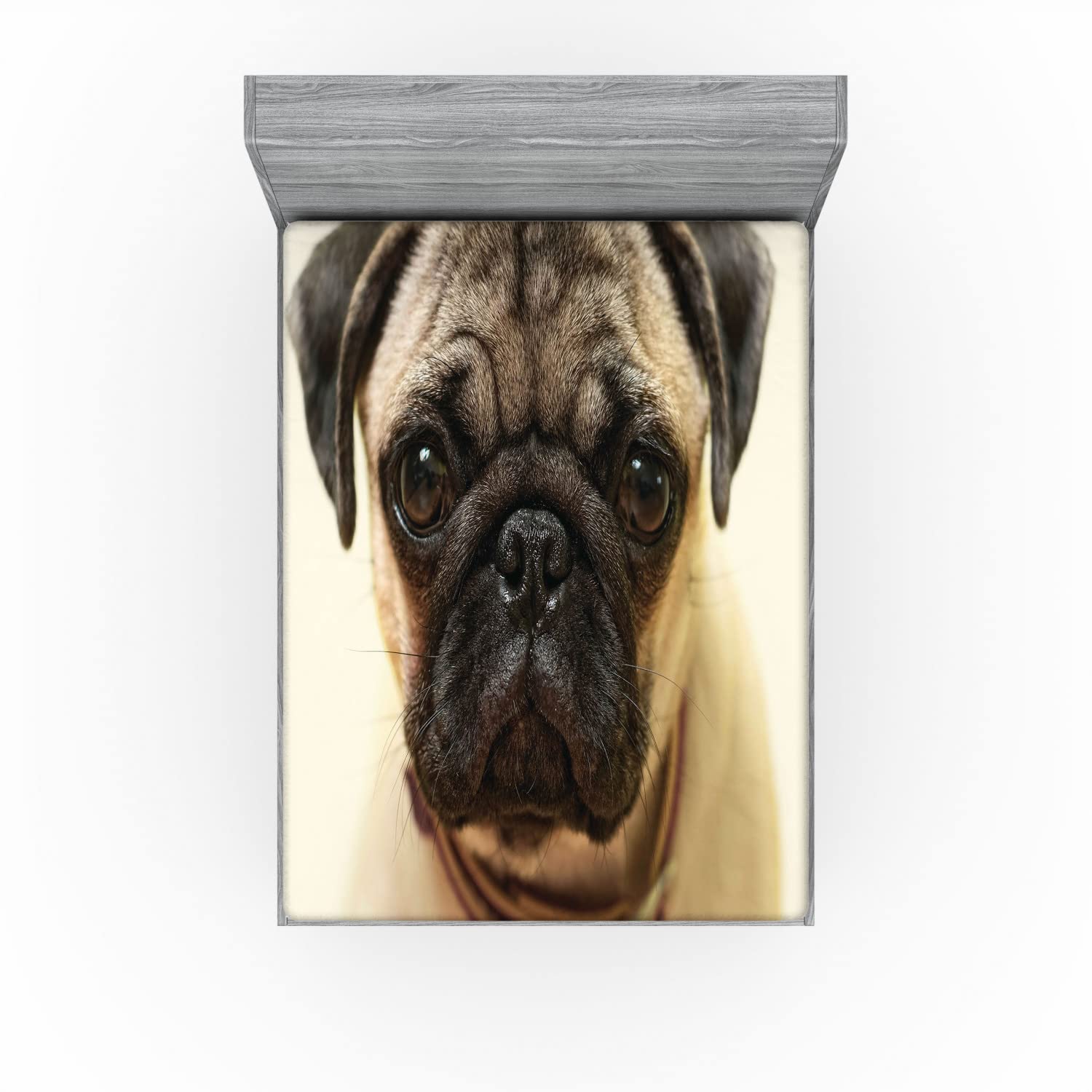 Ambesonne Pug 2-Pack Fitted Sheets - California King Size, Brown/Black Dog Design for Cozy Bedding