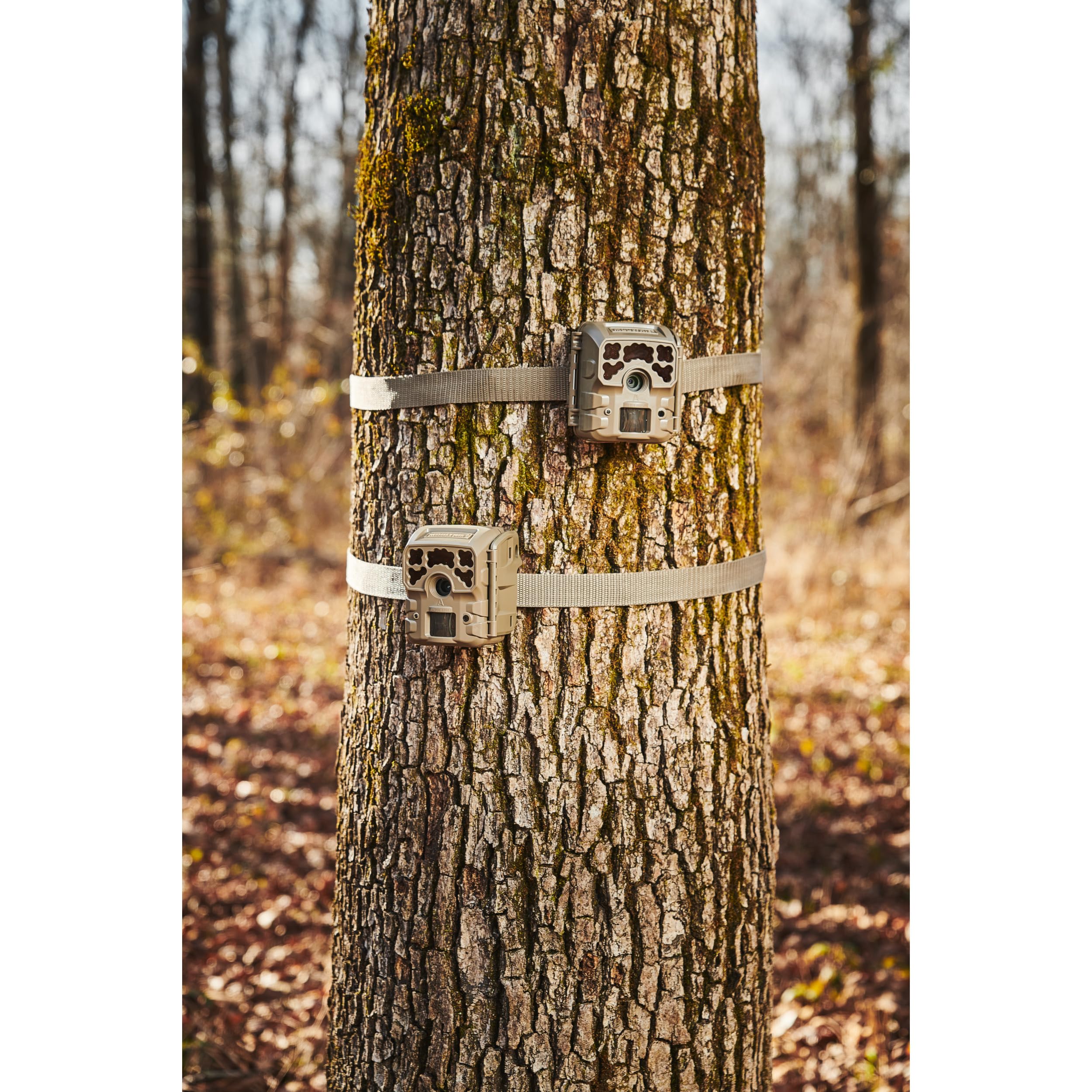Moultrie Micro-32i Trail Camera Kit - 2 Pack for Wildlife Monitoring and Hunting Surveillance | Outdoor Game Camera with Night Vision for Deer, Bear & Animal Tracking