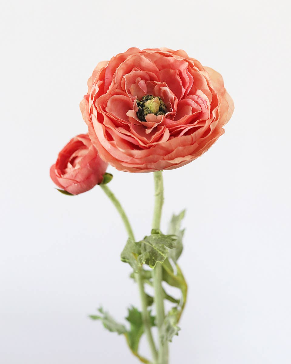 Artificial Salmon Pink Ranunculus Flowers - 19.5