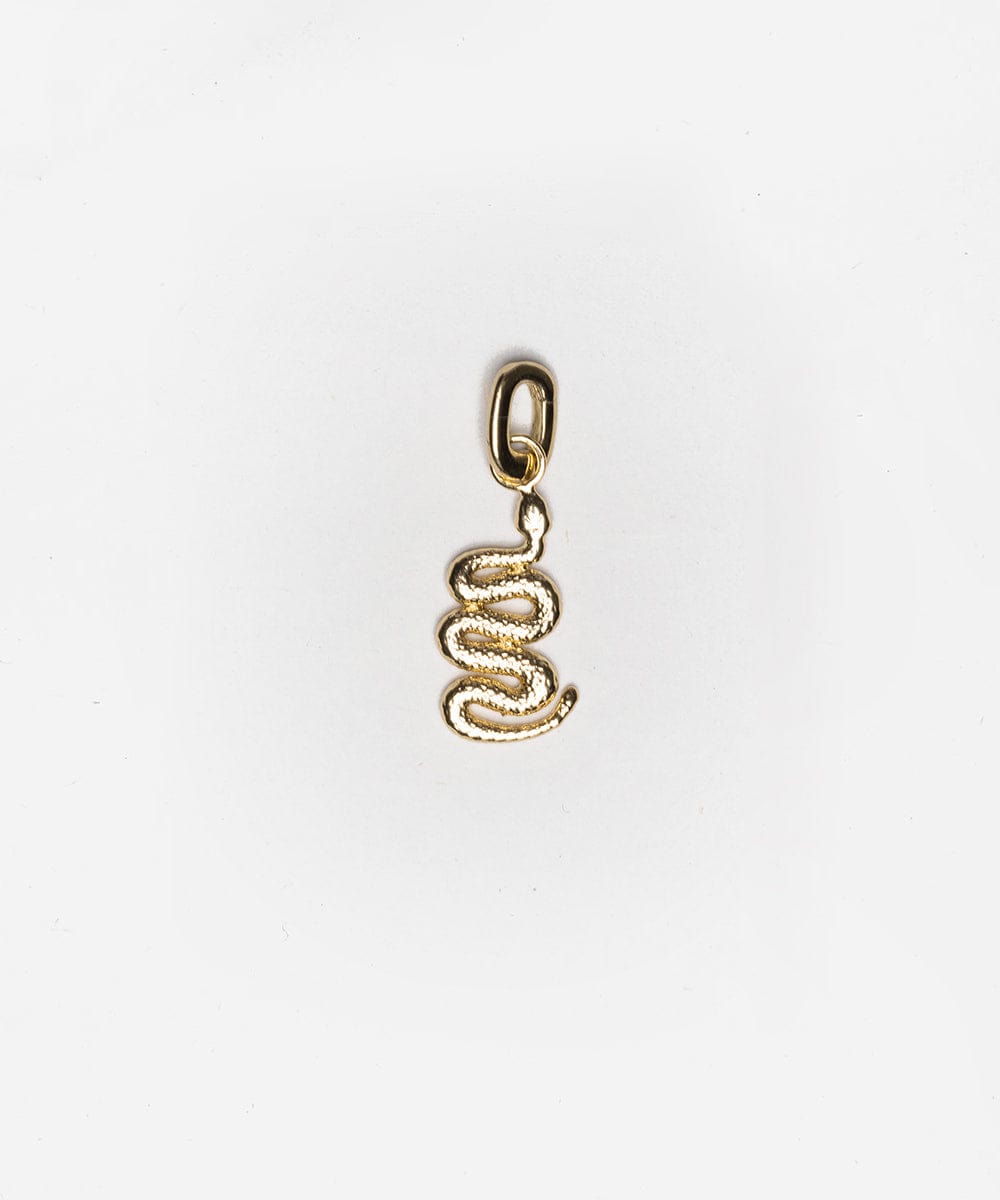 Snake Hat Charm - Cute and Unique Snake Design for Hats, Caps, and Headwear - Perfect for Halloween, Cosplay, and Fashion Accessories
