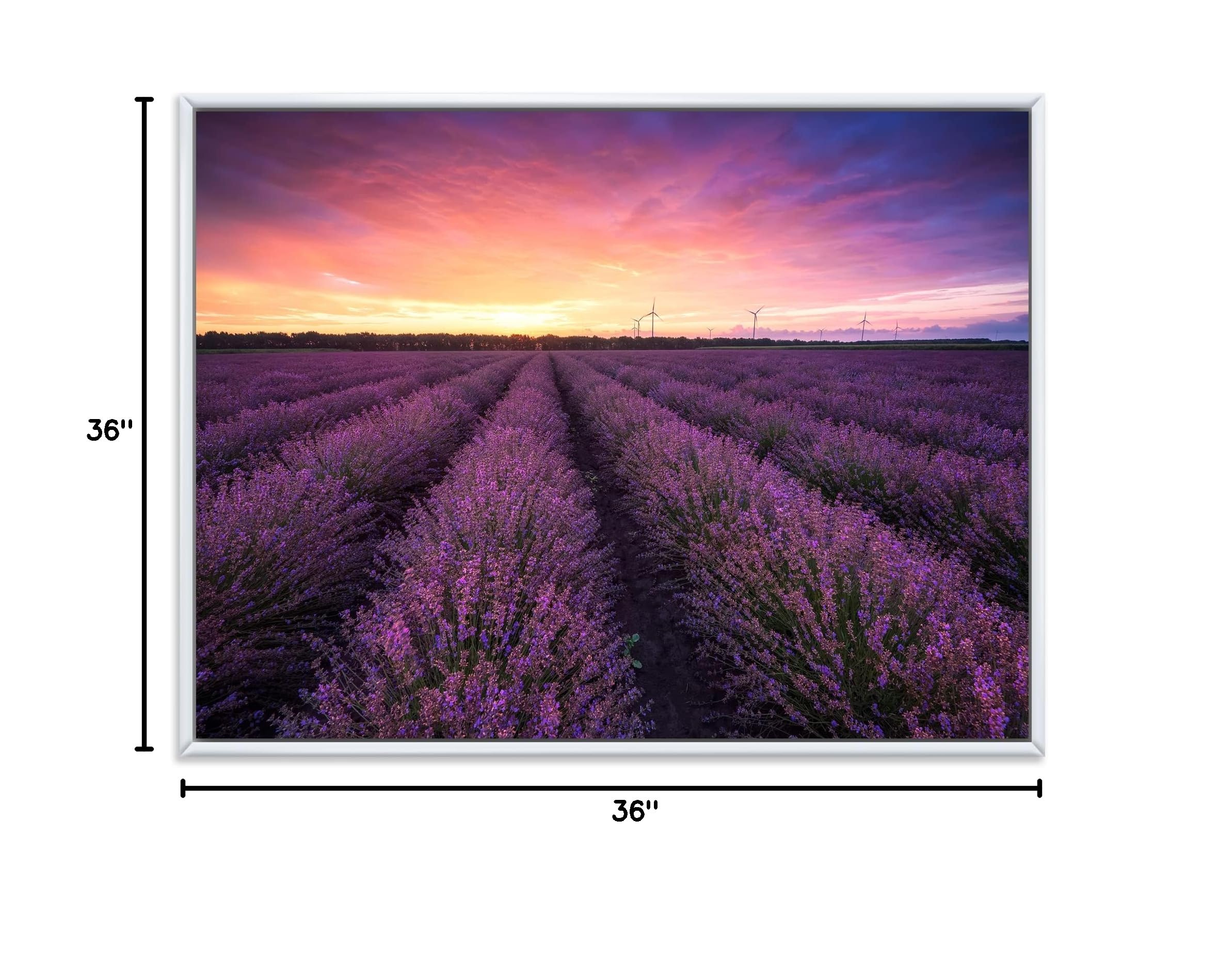 Sunrise & Dramatic Clouds Over Lavender Field XIII - Farmhouse Framed Canvas Wall Art Print - Perfect for Living Room, Bedroom & Office Decor
