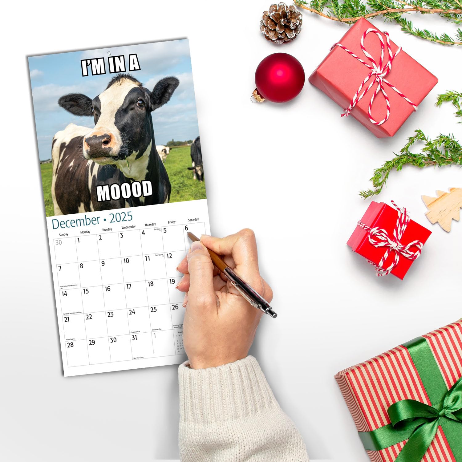 Funny Animal Memes Mini 2025 Wall Calendar - 12 Months, 7