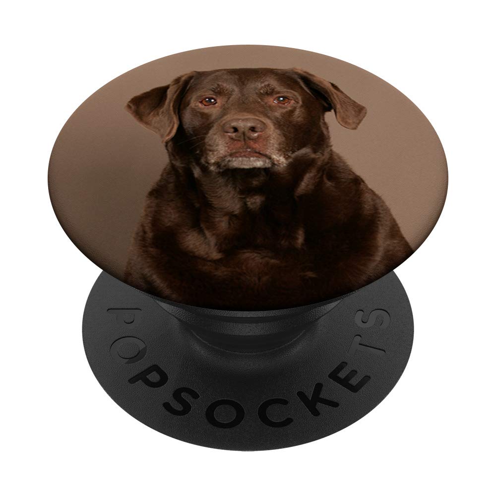 Chocolate Labrador Retriever PopSockets PopGrip - Swappable Phone Grip for iPhone, Samsung & Tablets | Cute Dog Lover Accessory for Pet Owners, Gifts for Dog Lovers