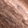Antique Copper