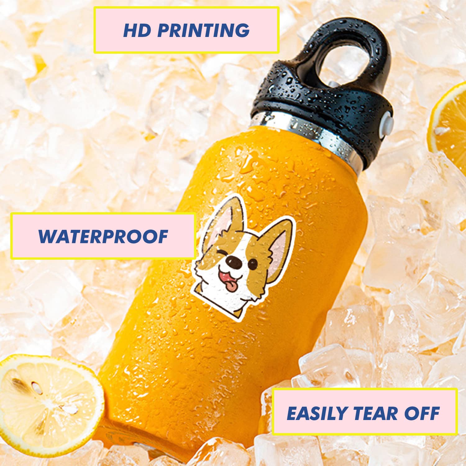 Cute Hamster Stickers - Waterproof Vinyl Decals for Hydro Flask, Laptop, Tablet, Phone - Fun Decorative Stickers for Kids, Teens & Adults - Perfect for Water Bottles, School Supplies & DIY Projects