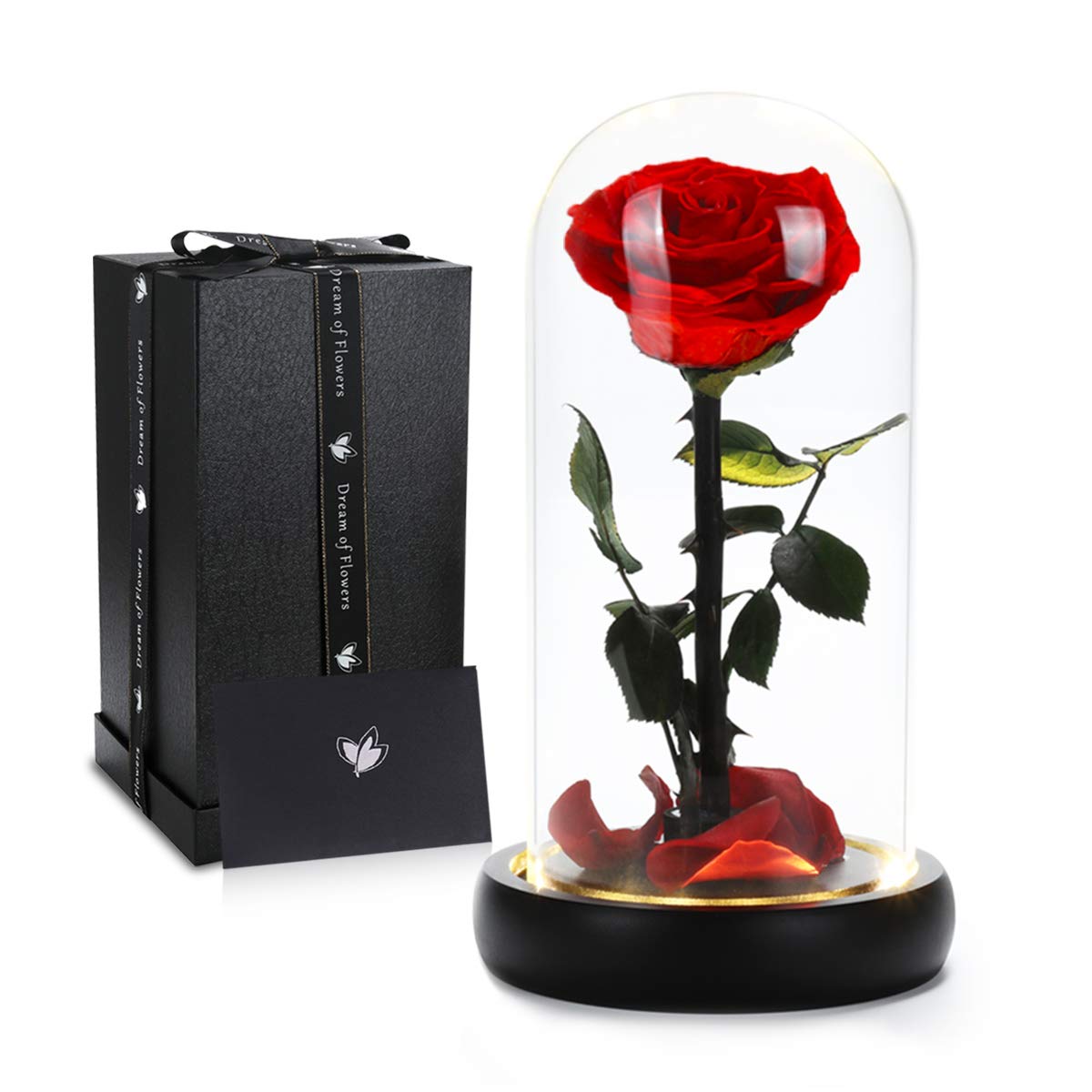 Mother's Day Flower Gifts - Beauty and The Beast Rose in Glass Dome with Warm LED Light, Preserved Real Forever Rose Gift for Women, Mom, Wife, Grandma, Girlfriend - Perfect for Anniversary, Birthday, Valentine's Day & Home Decor