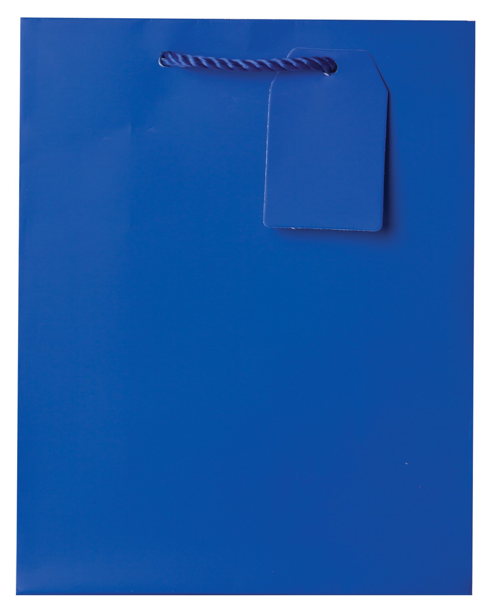 JILLSON & ROBERTS 120-Count Royal Blue Matte Medium Gift Bags Bulk Pack (BMT916) - Perfect for Birthday Parties, Baby Showers & Holiday Gift Wrapping