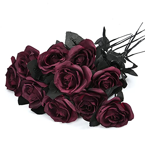 Wine Red(rose)