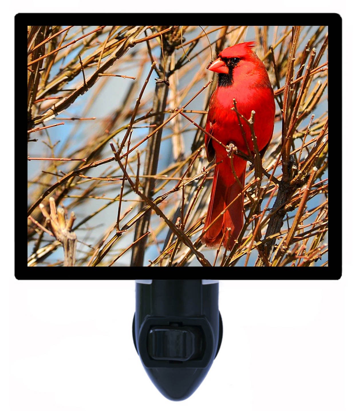 Cardinal LED Night Light - Red Bird Themed Night Light for Kids & Adults, Energy-Efficient & Dimmable, Perfect for Bedroom, Nursery, Hallway & Bathroom