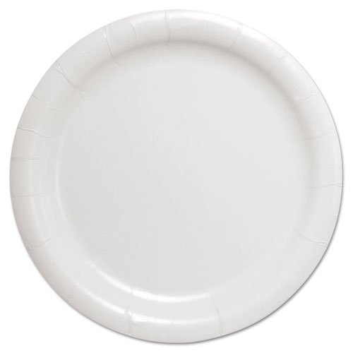 SOLO Eco-Friendly Clay-Coated Paper Plates, 9 Inch White Disposable Dinner Plates - 4 Packs of 125 (500 Total) for Parties, Picnics & Catering Events