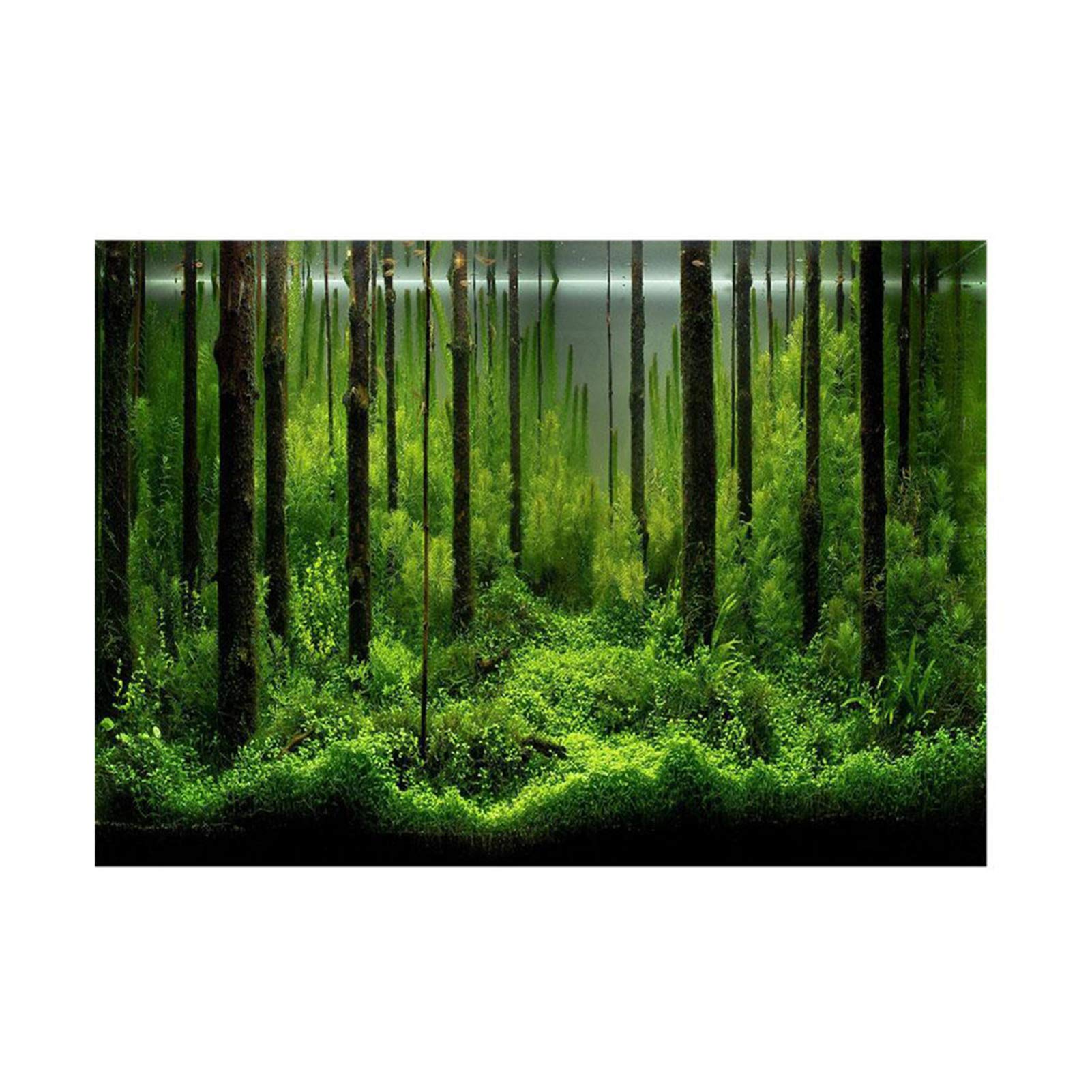 Colorful PVC Waterproof Aquarium Background Poster - Fish Tank Decoration Paper for Home Aquariums | Durable Backdrop for Freshwater & Saltwater Tanks - Enhance Your Underwater Scenery