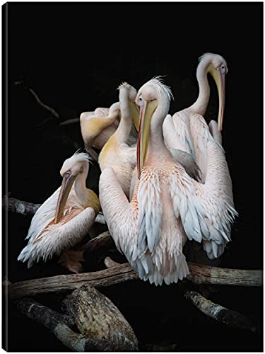 Flock of Flamingos