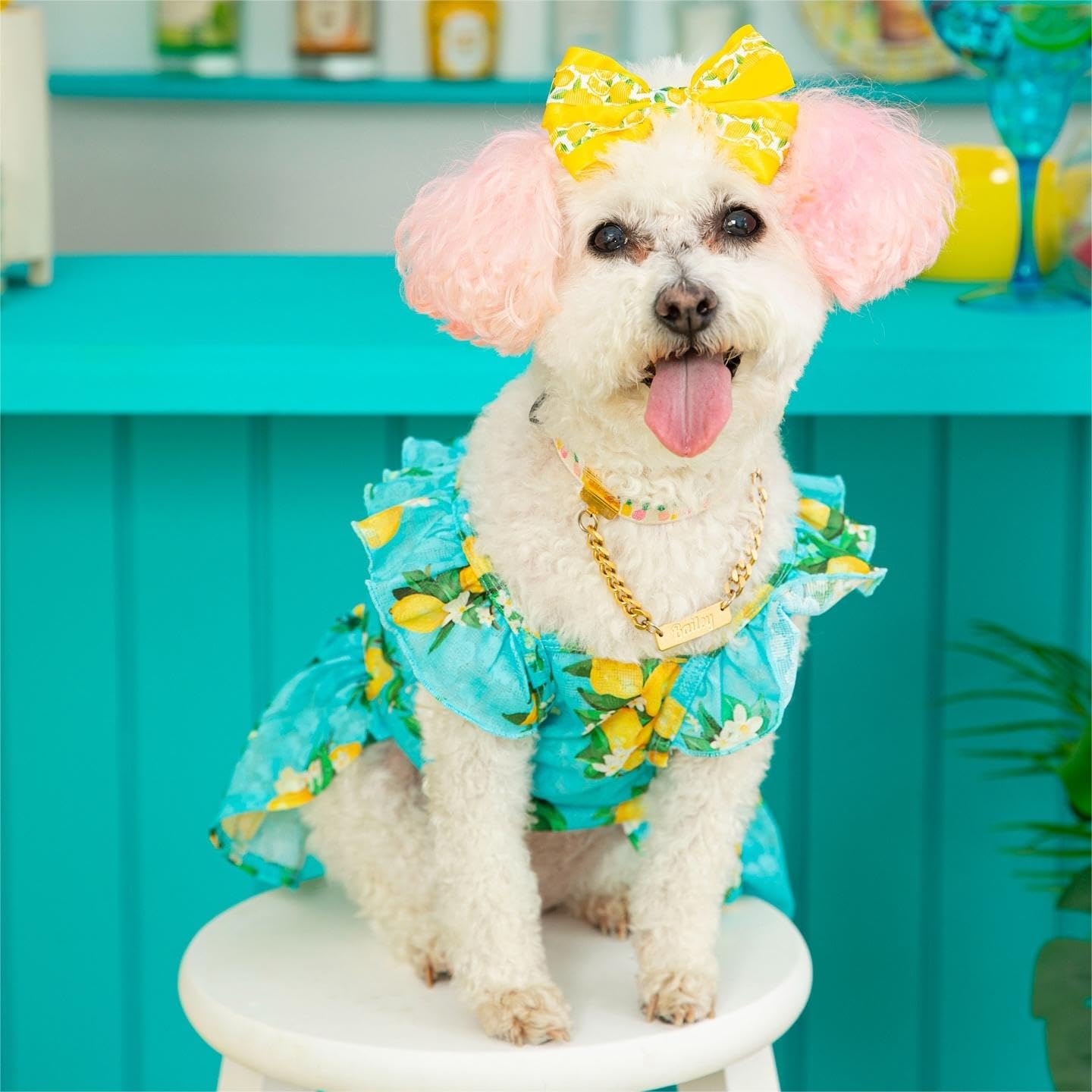 Fitwarm Lemon Dog Dress for Small Dogs - Teal, Yellow, Green - Perfect for Pet Outings
