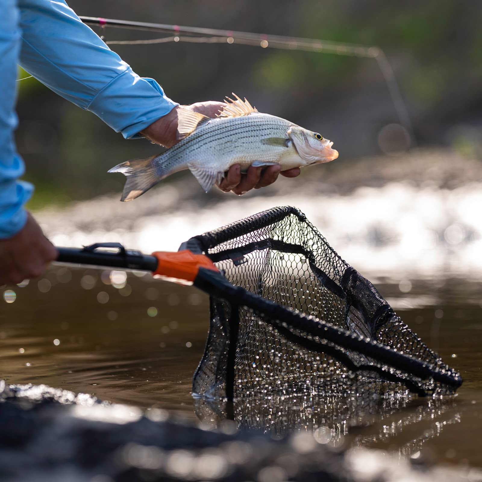 KastKing Pontus Foldable Lightweight Freshwater Fishing Net with Aluminum Handle & Fish-Friendly Mesh - Built-in Length Scale for Safe Catch & Release - Perfect Fishing Gift for Men - Ideal for Trout, Bass & Fly Fishing