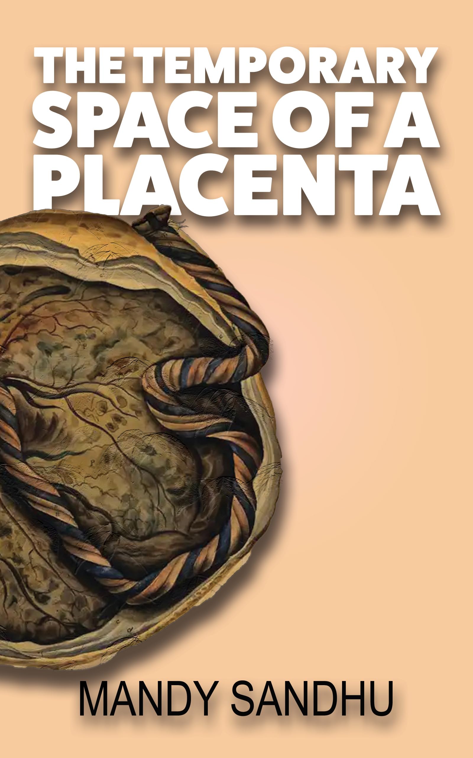 Premium Temporary Placenta Space - Ideal for Medical Training, Research & Educational Use