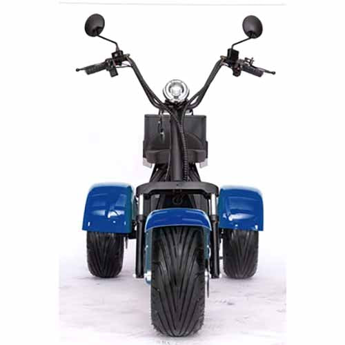 2000W 60V Electric Fat Tire Trike - 3 Wheel Scooter Moped Bike with Golf Rack, Similar to CityCoco Bike CT 3G - Perfect for Commuting, Golf Course Transport & Urban Adventure