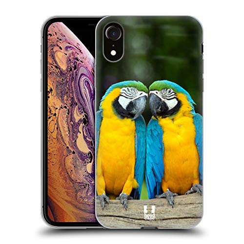 Colourful Macaw Parrot Couple