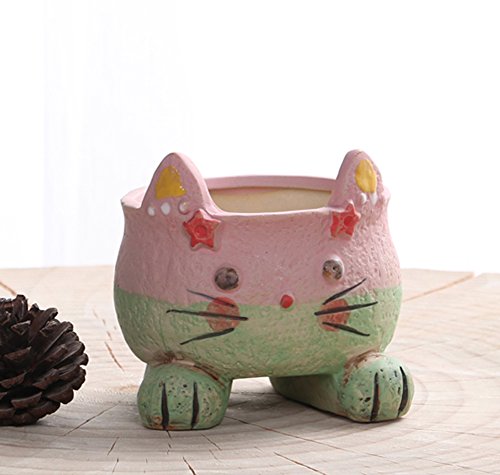 Cat2