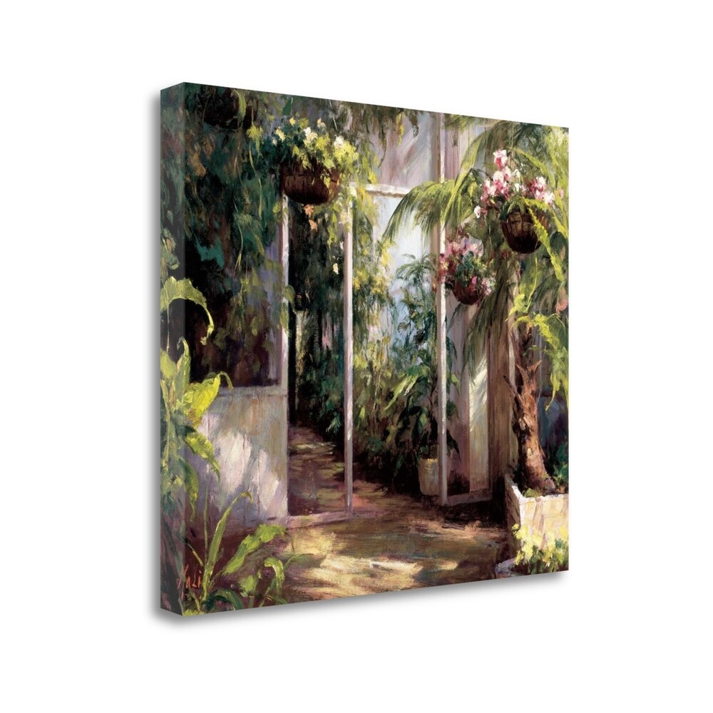 Hali's 'Atriums First Light' Fine Art Giclee Print on Gallery Wrap Canvas - Ready to Hang Wall Decor for Living Room, Bedroom & Office