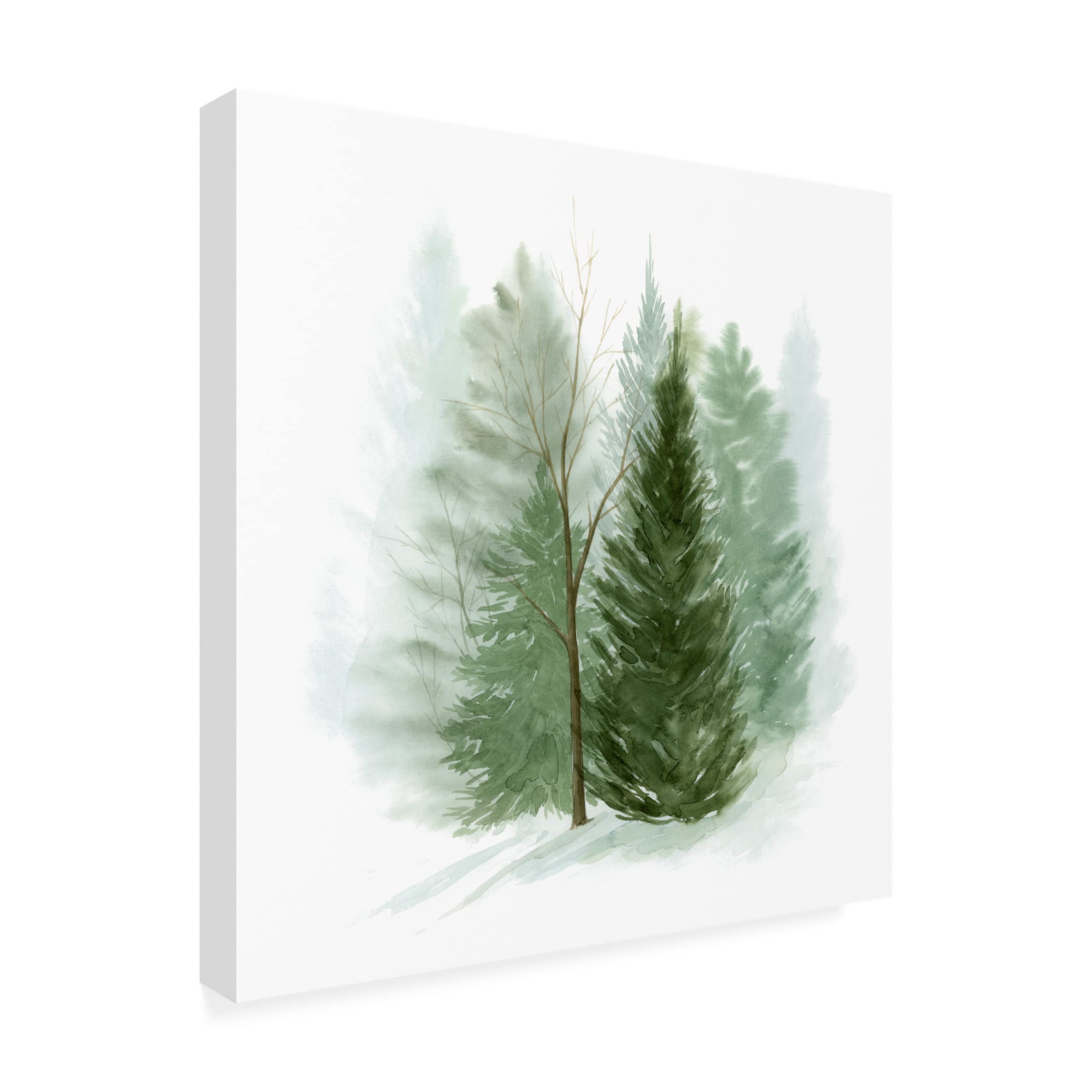 Grace Popp 'Walk in the Woods I' Canvas Wall Art Print - Nature Landscape Painting for Living Room, Bedroom & Office Decor