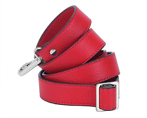 Red-silver Buckles
