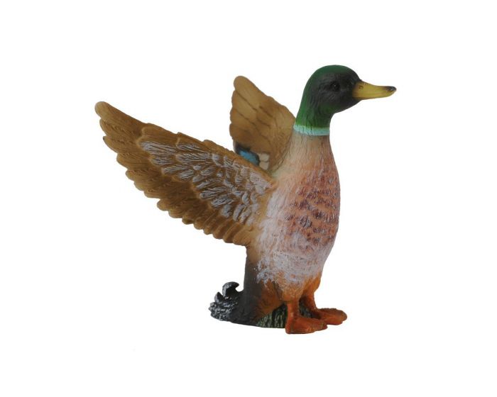 CollectA Male Mallard Duck Figurine - Realistic Small Bird Model for Collectors, Kids, and Nature Enthusiasts | Perfect for Home Decor, Educational Play, and Diorama Displays