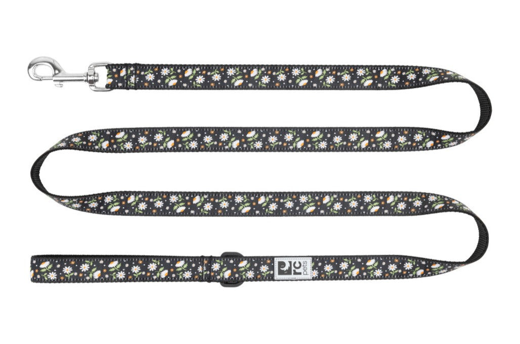 Daisies Pattern Dog Collar - Adjustable & Durable Pet Collar for Small, Medium, Large Dogs - Perfect for Daily Walks, Training, and Outdoor Adventures