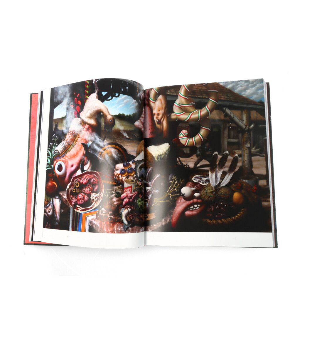 Christian Rex Van Minnen Massa Confusa Art Book - Surreal Oil Paintings Collection for Contemporary Art Lovers | Perfect for Home Decor & Art Inspiration