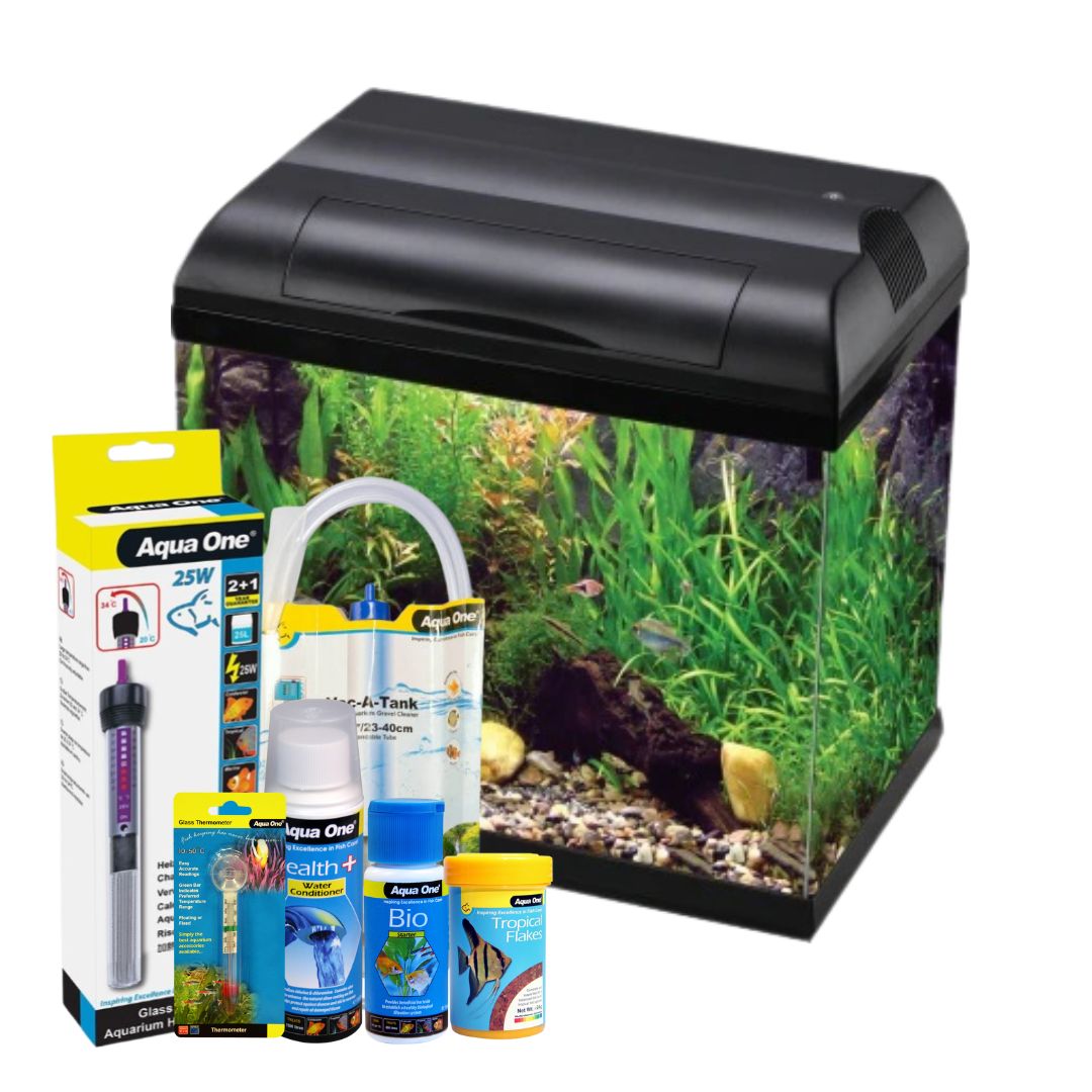 Ecostyle 37 Aquarium Bundle - 21 Litres Fish Tank Kit with LED Light & Filter - Perfect for Home, Office, or Classroom Aquarium Setup