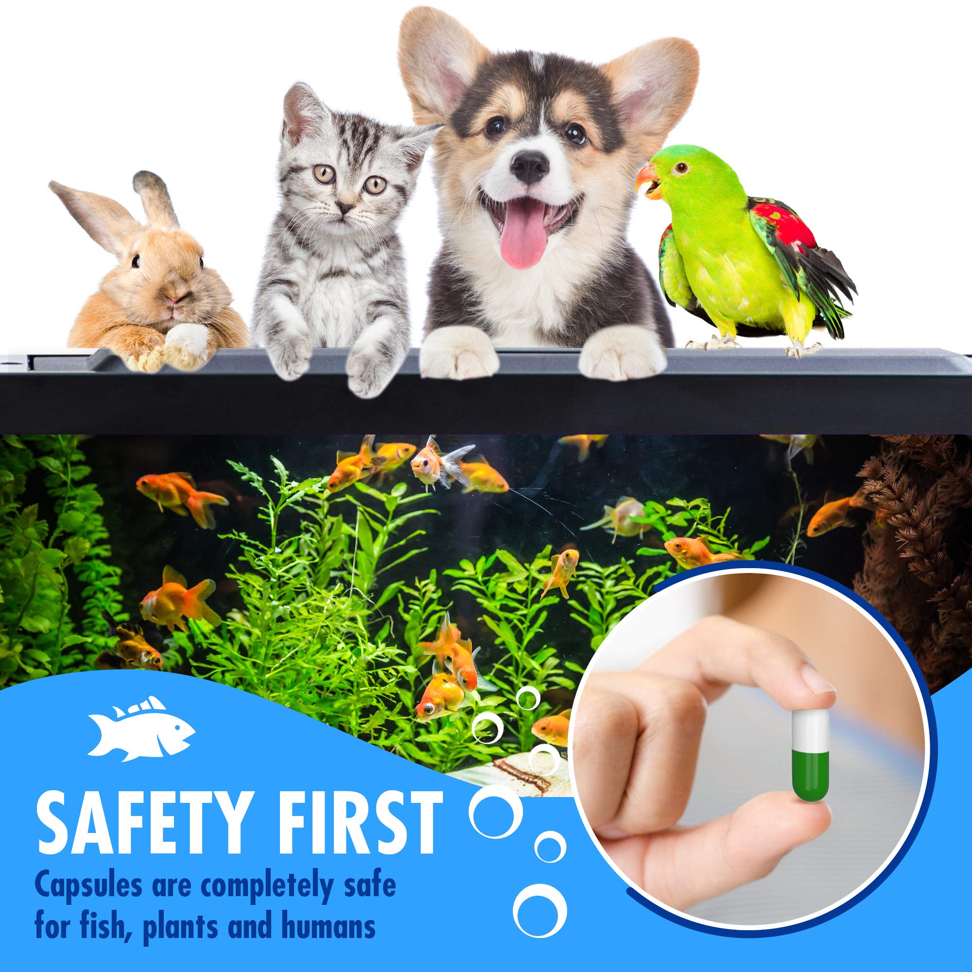 Premium Bio Capsules for Fish Tank - Natural Water Cleaner & Clarifier for Freshwater & Saltwater Aquariums - Maintains Crystal Clear Water for Healthy Fish - Ideal for Home, Office & Pet Store Aquariums