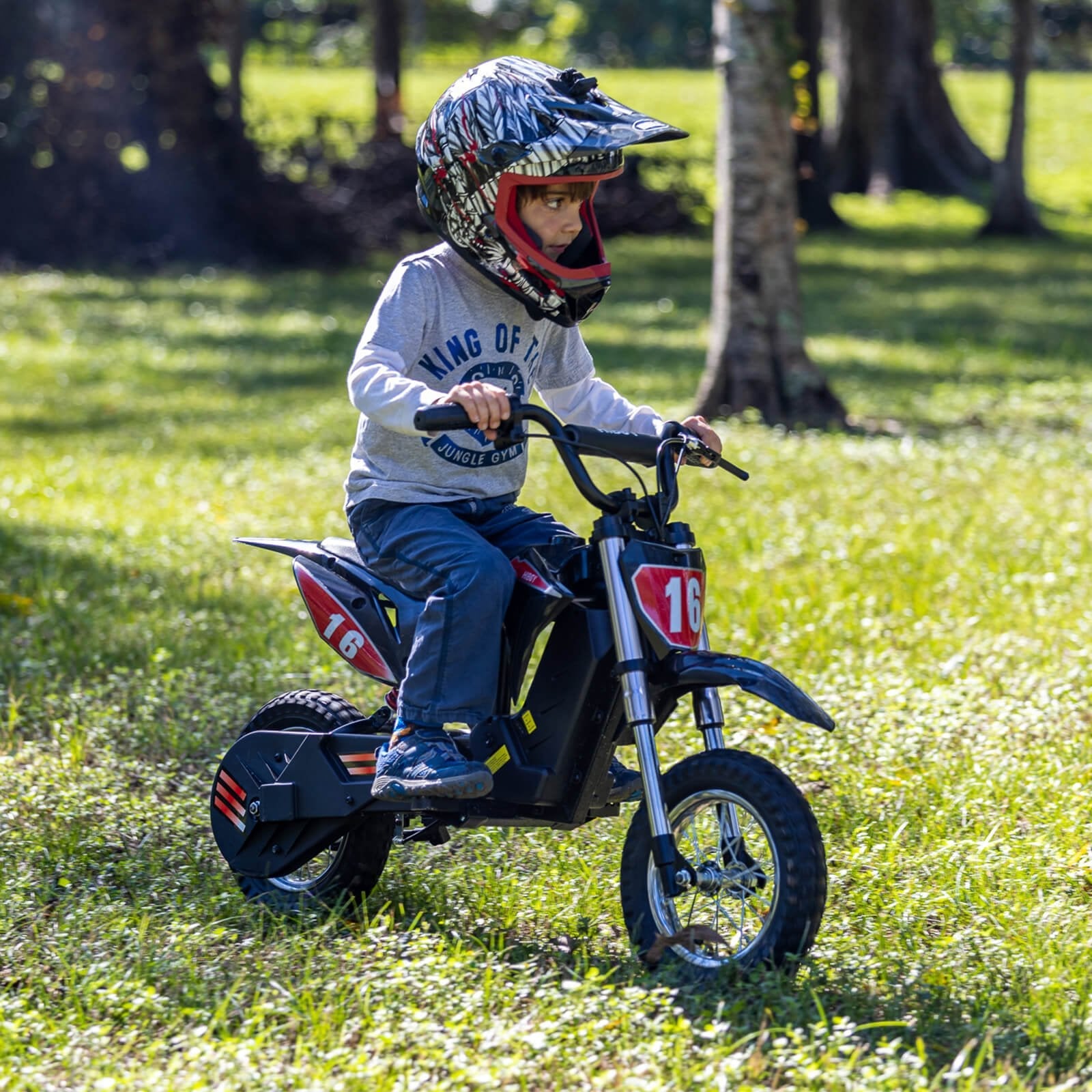 Hiboy DK1 Refurbished Electric Dirt Bike for Adults & Teens - 36V 250W Motor, 15.5MPH Off-Road Bike - Perfect for Trail Riding, Backyard Fun & Commuting