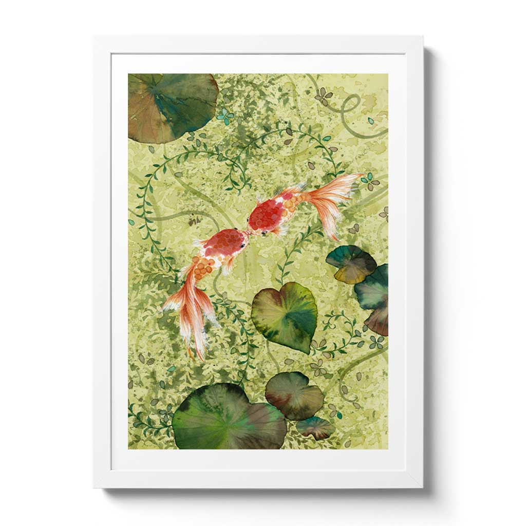 Kissing Fish Aquarium Fish - Live Tropical Fish for Home Aquariums, Perfect for Community Tanks & Ornamental Displays