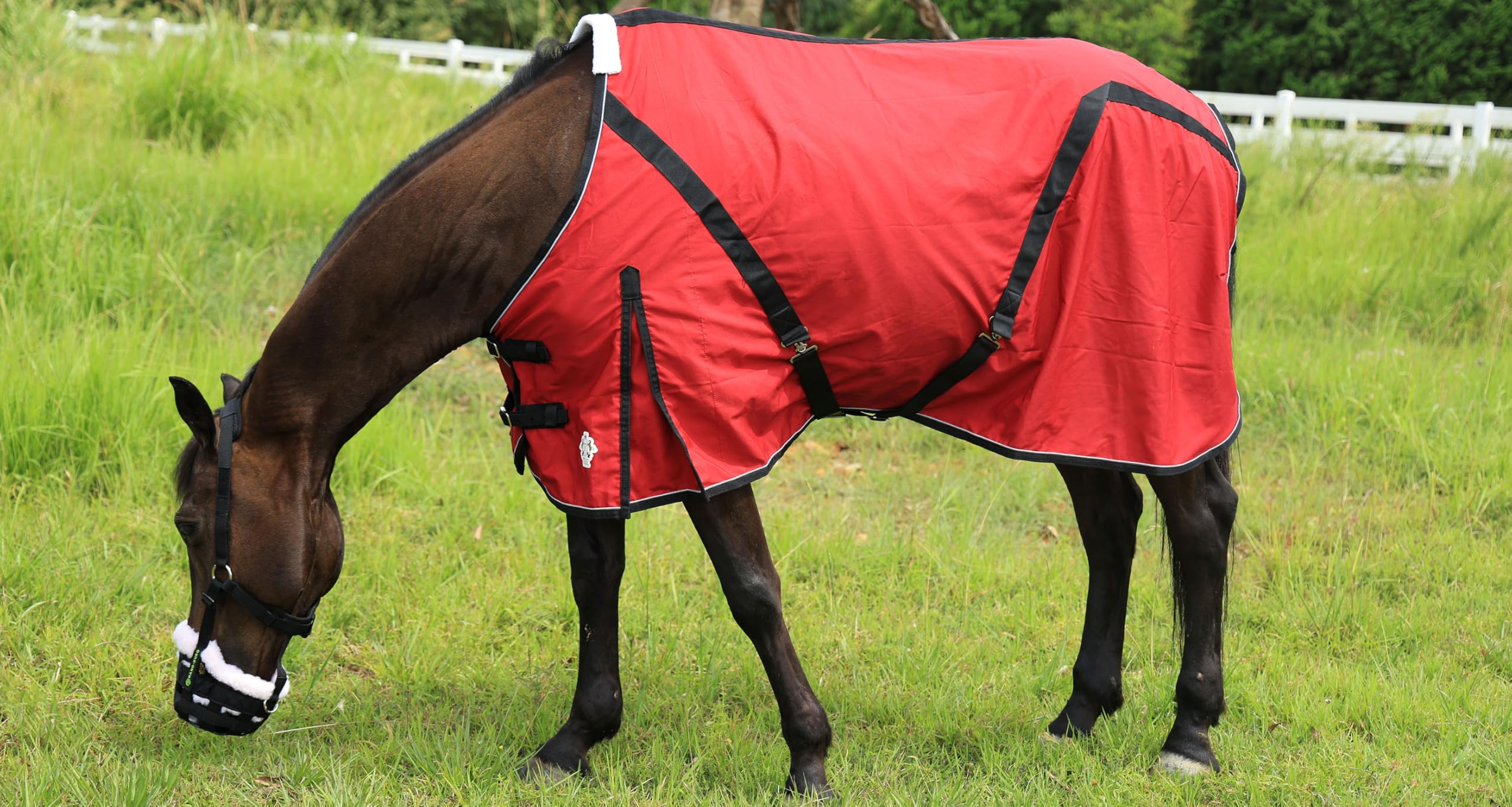 Premium Horse Canvas Sheet for Stable & Blanket Liner - Breathable, Durable & Washable (51