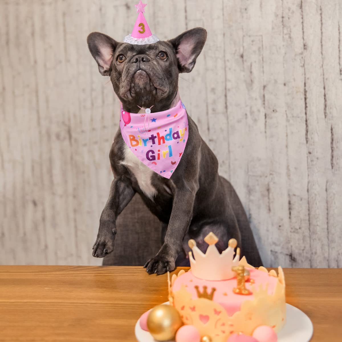 Dog Birthday Party Decorations - Adjustable Birthday Hat with Numbers & Cute Pink Bandana Set for Small, Medium, Large Dogs - Perfect Pet Supplies Gift for Puppy Birthday Celebrations