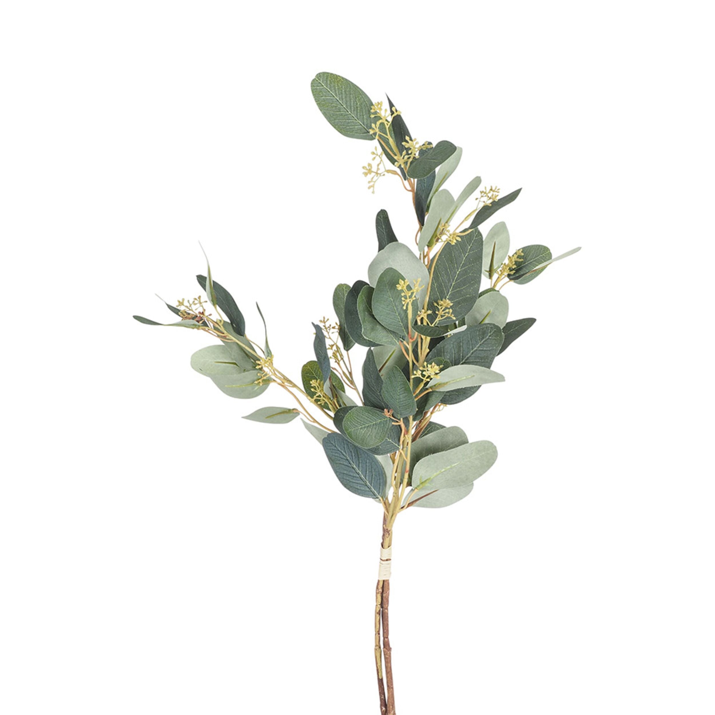 Acacia Paris Eucalyptus Wreath 70cm - Natural Home Decor for Front Door, Wall, and Seasonal Holiday Decorations