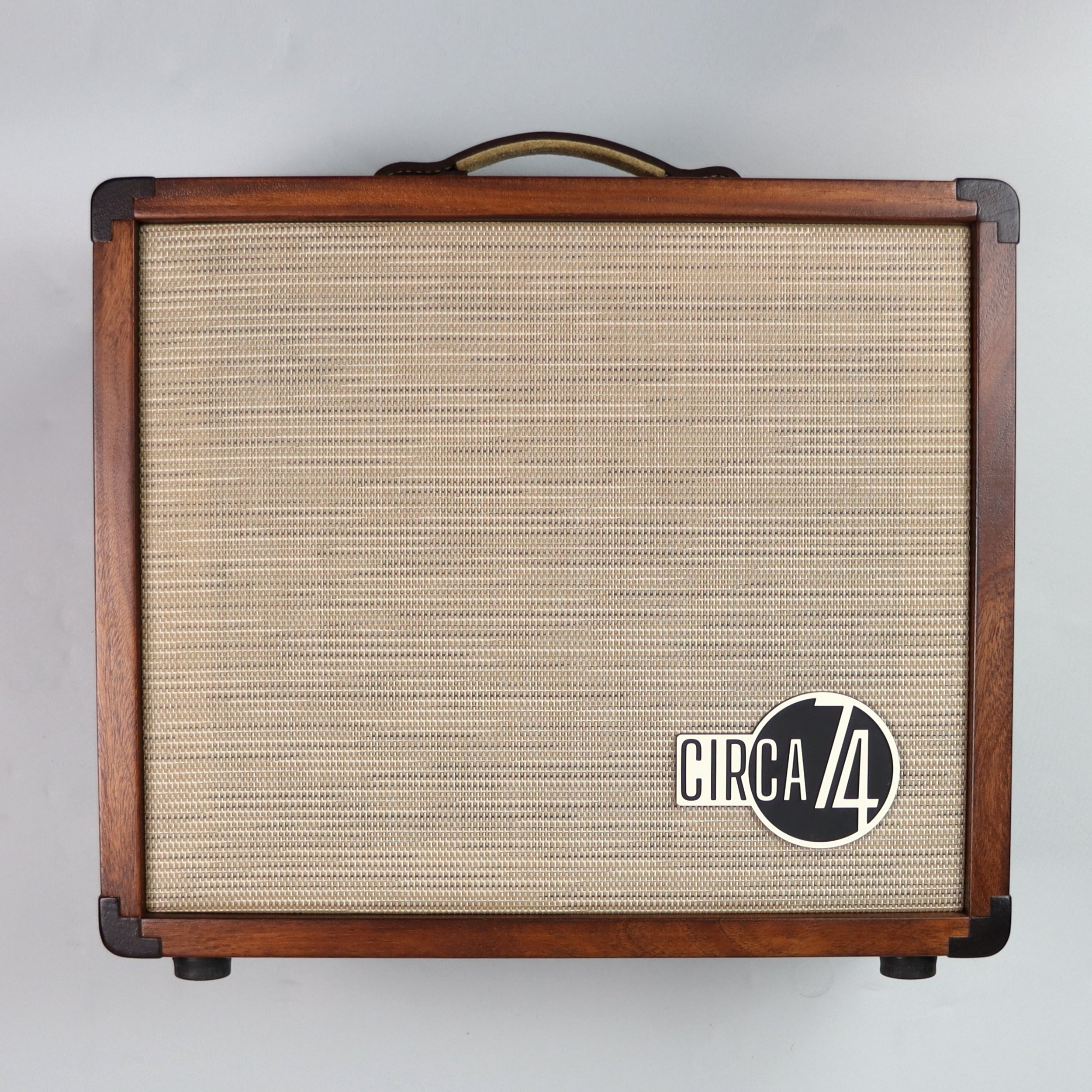 Taylor Circa 74 Acoustic Guitar & Vocal Amplifier with Stand - Perfect for Live Performances, Studio Recording & Home Practice