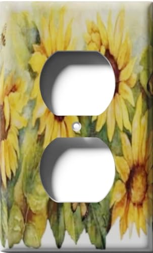 Single Duplex Outlet