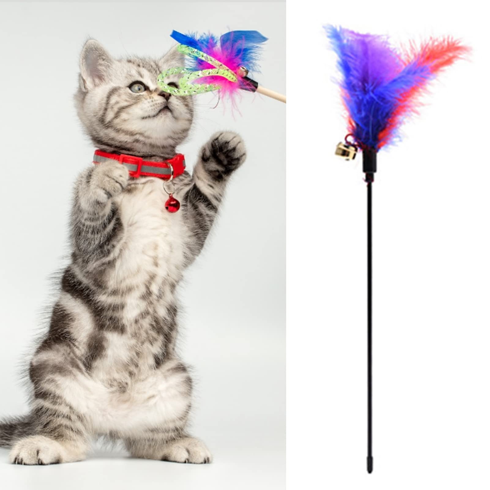 Interactive Cat Wand Toy with Feather & Bell - 1PC Teaser Wand for Indoor Cats - Fun Exercise & Training Toy for Kittens - Perfect for Playtime, Chasing & Bonding with Your Cat