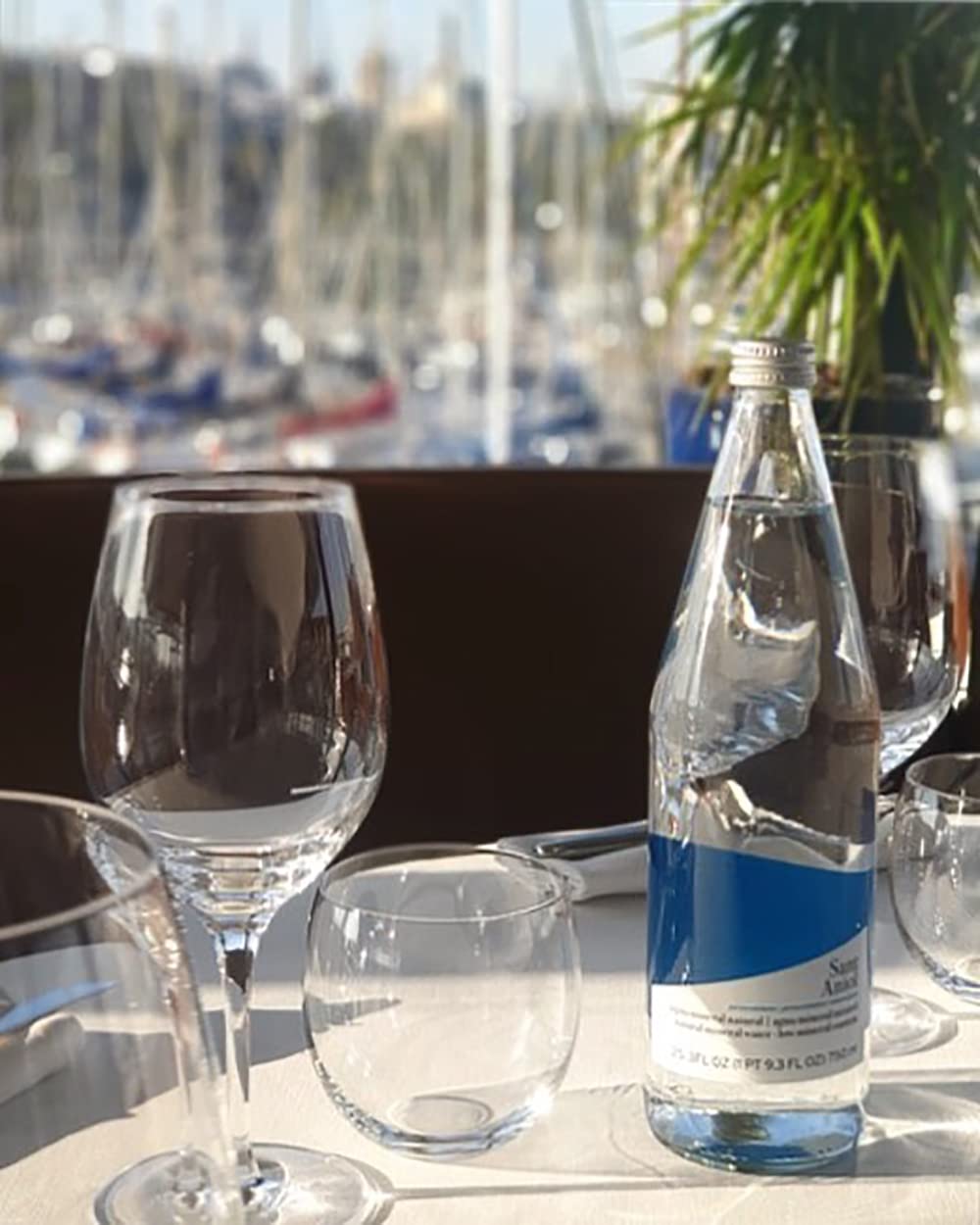 Sant Aniol Still Natural Mineral Water - 750ml (12 Glass Bottles) - Premium Spanish Spring Water for Home, Office & Gourmet Dining