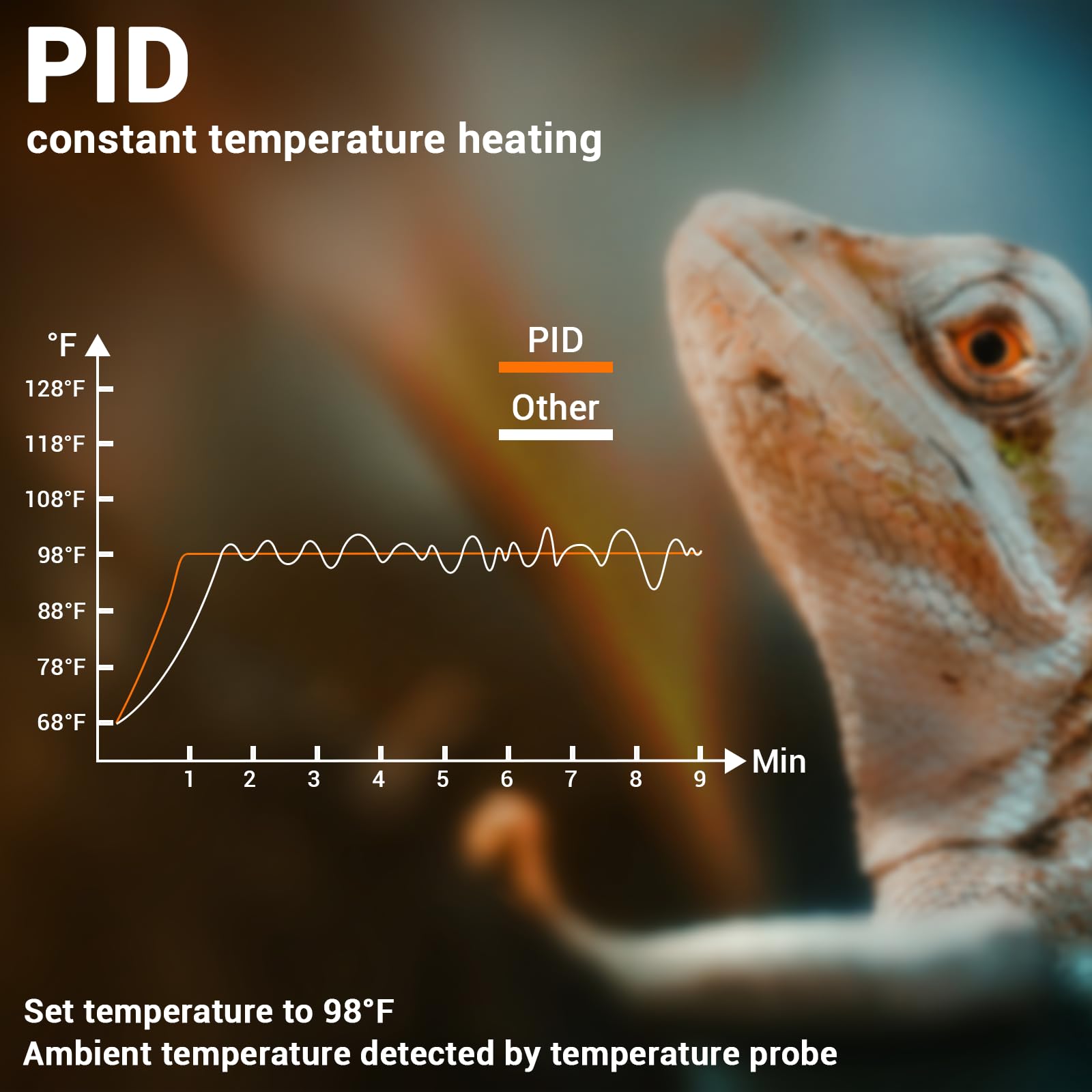 Reptile Thermostat with Temperature Probe - Dimmable PID Temperature Controller for Heat Lamps & Heating Pads, ℉/℃ Switchable with Memory Function - Ideal for Terrariums, Vivariums & Reptile Habitats