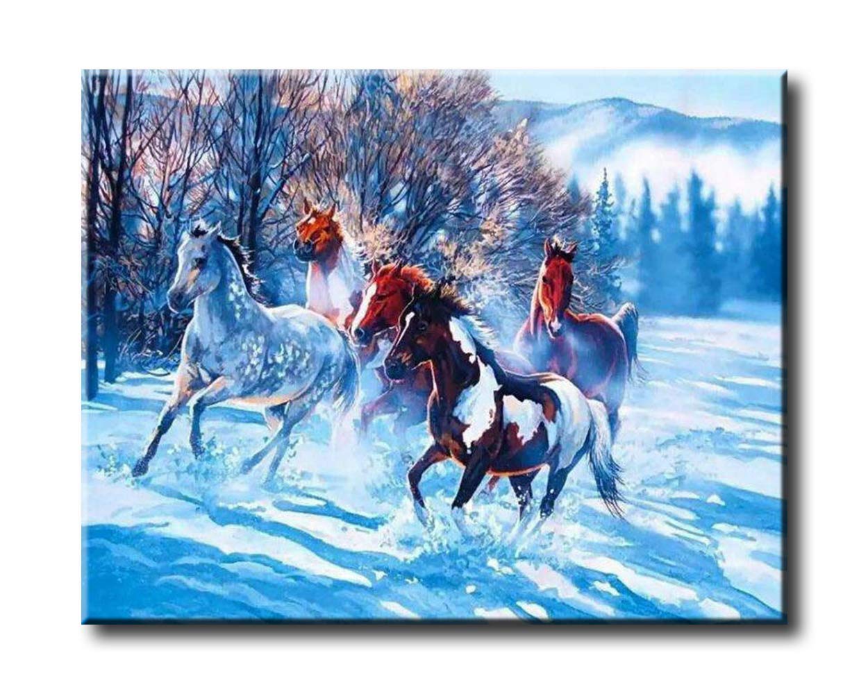 Shukqueen DIY Oil Painting Kit for Adults - Paint by Numbers Acrylic Race Horse Art 16x20 Inch (Frameless) - Perfect for Home Decor, Gift & Relaxation