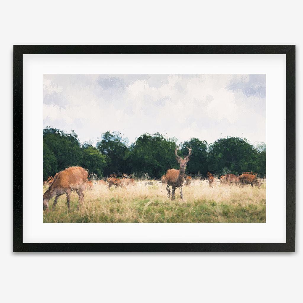 Black Frame