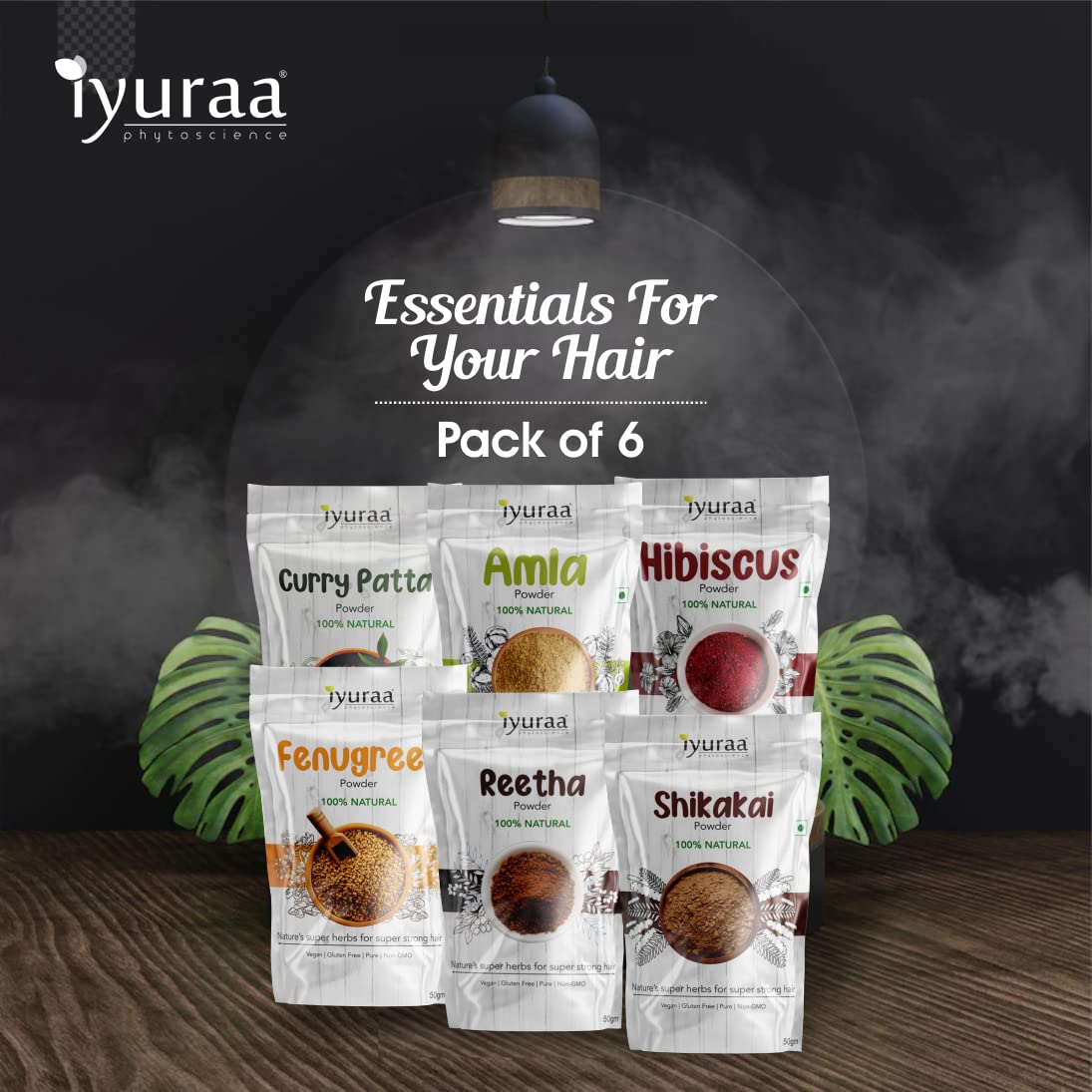 IYURAA PHYTOSCIENCE Natural Hair Care Powder with Reetha - Scalp Treatment for Dandruff & Hair Growth (Pack of 2) | Ayurvedic Shampoo Alternative for Dry & Damaged Hair