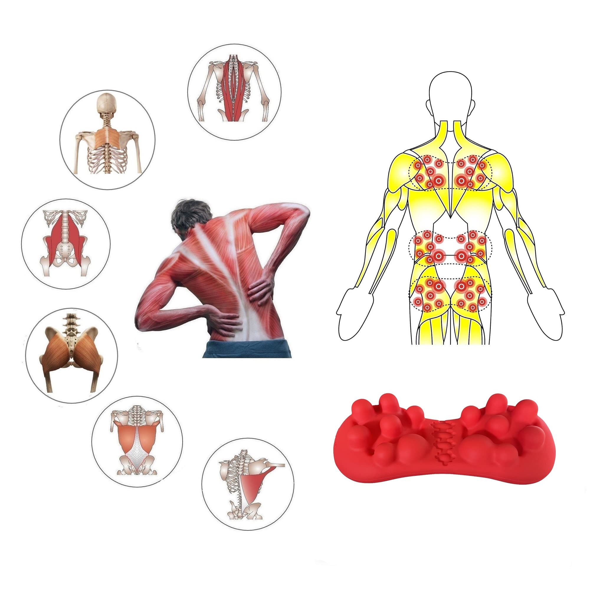 Trigger Point Massager for Back & Glutes - Myofascial Release Tool for Piriformis Syndrome, Back Knots & Muscle Pain Relief - Perfect for Office Workers, Athletes & Home Use