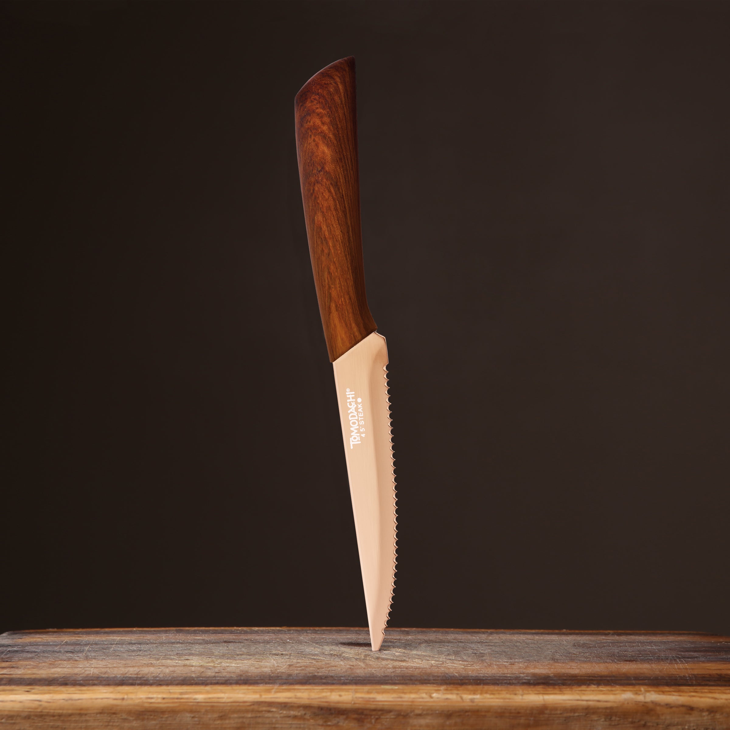Premium Raintree Steak Knives Set of 4 - Sharp Stainless Steel Blades with Ergonomic Handles - Perfect for Steak Dinners, BBQ Parties & Fine Dining