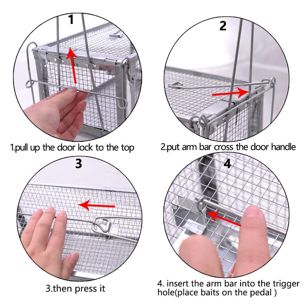 Humane Live Animal Chipmunk Trap - 1 Door Small Rodent Cage for Mice, Rats & Squirrels | Indoor & Outdoor Use | Perfect for Gardens, Farms & Home Pest Control