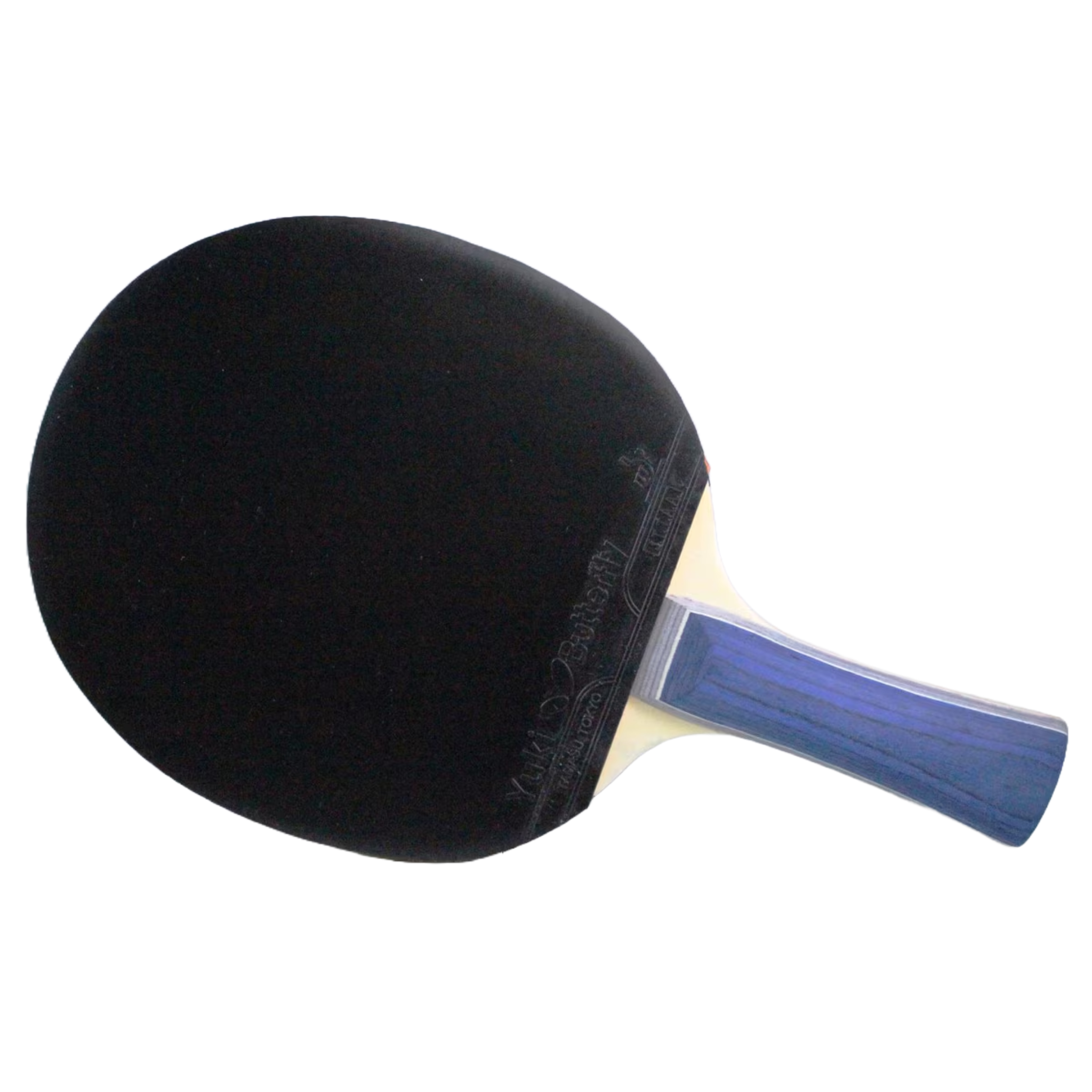 Butterfly Shakehand BTY 201 FL Table Tennis Racket Set - Professional Ping Pong Paddle for Training & Competition | Perfect for Indoor & Outdoor Play