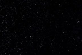 Black Velvet