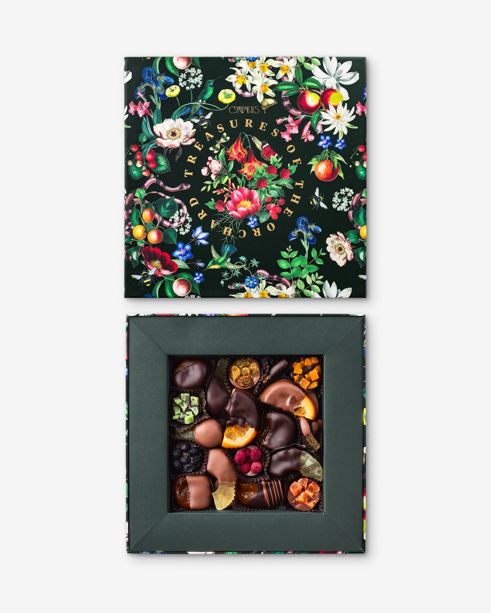 Premium Chocolate Covered Fruit Gift Box - Delicious Assorted Chocolate Dipped Fruits for Holidays, Birthdays & Corporate Gifting